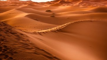 Saharan Desert