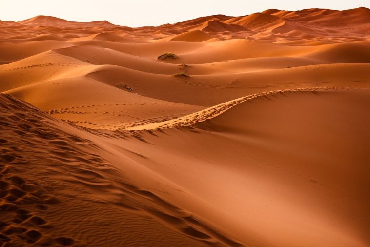 Saharan Desert