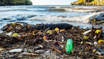 Beach plastic may be a very small fraction of the waste out there