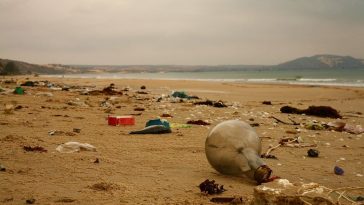 Beach Plastic Pollution