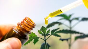 CBD for Everyday Life