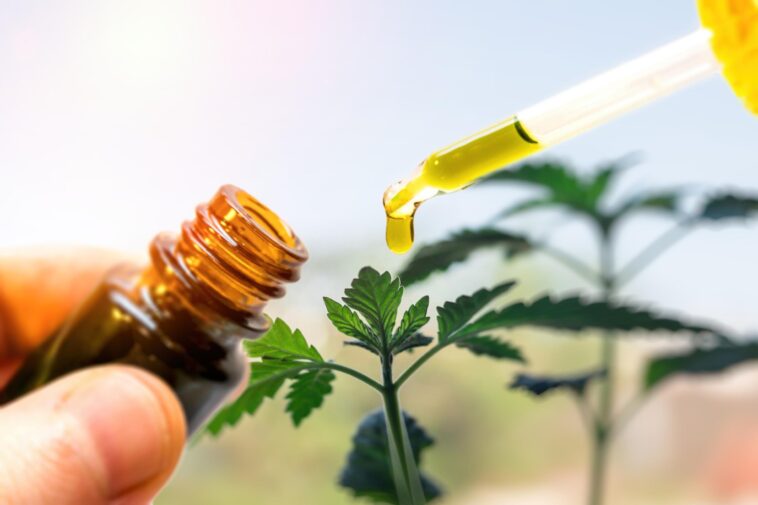 CBD for Everyday Life