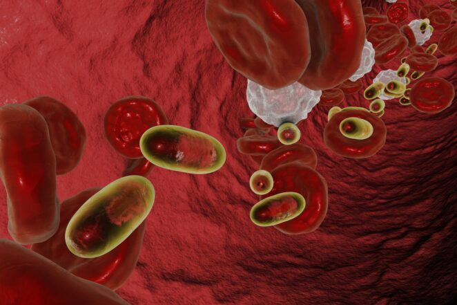 Nanotechnology and Drug Delivery