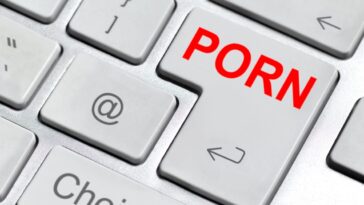 Popularity of Pornography