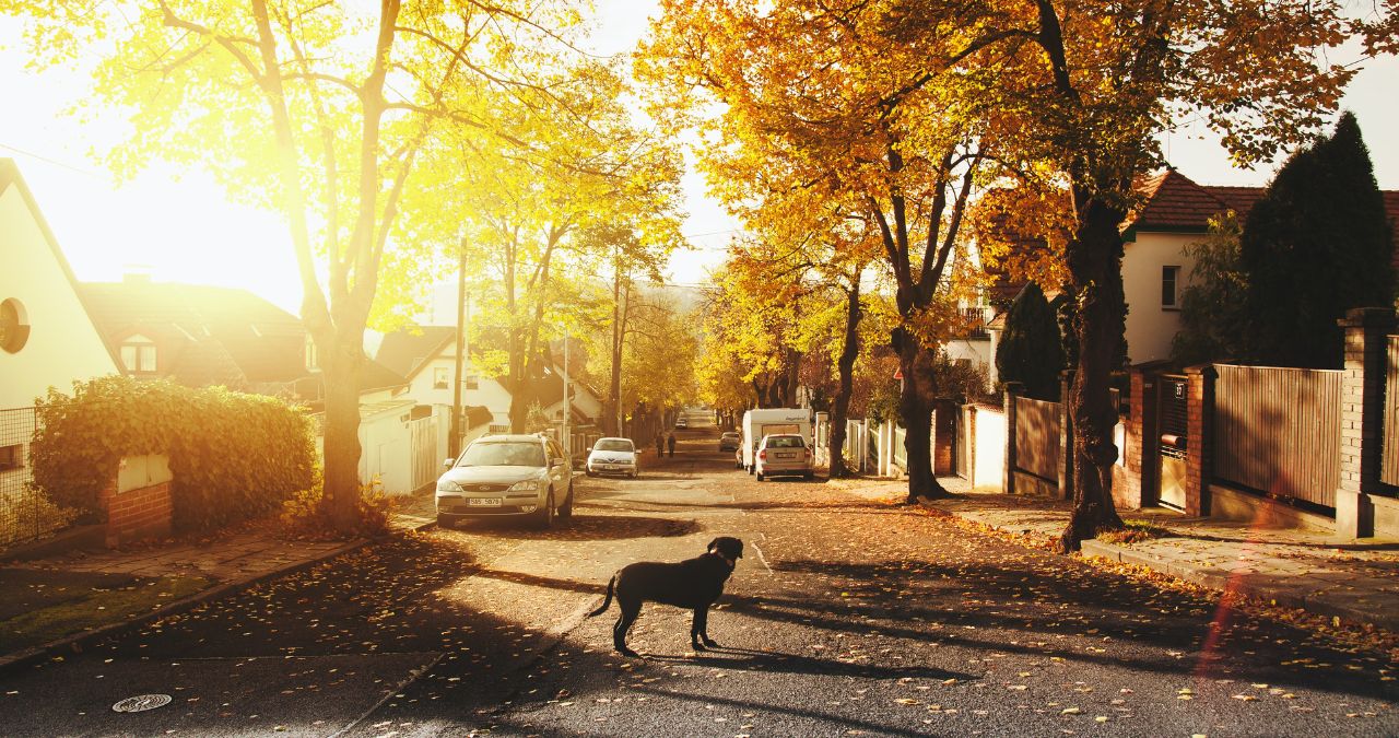 Factors to Consider when Choosing a Neighborhood