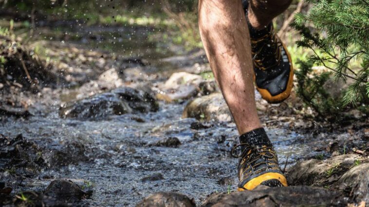 Trail Running Shoes Fit