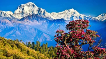 Best Time to Visit Nepal
