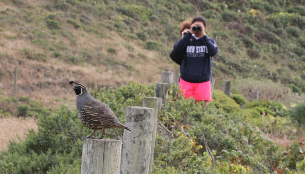 Can Watching Animal Behavior Make You a Better Hunter